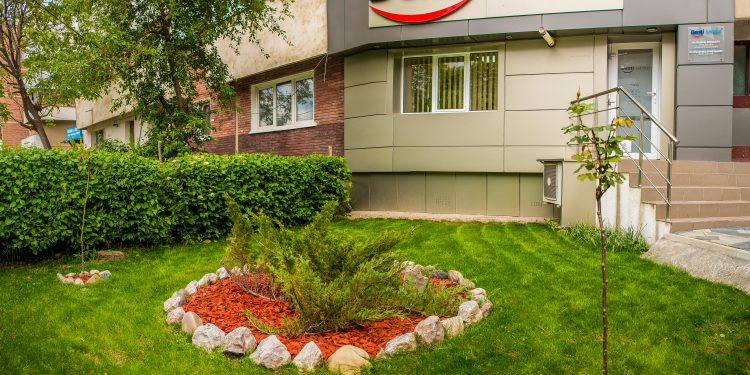 Cabinet Stomatologic Denti Service Bacau