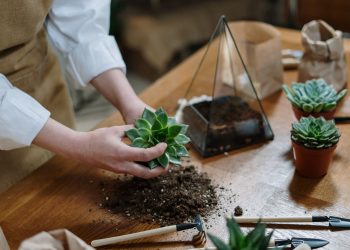 Iată 3 moduri simple în care poți schimba complet decorul casei tale!