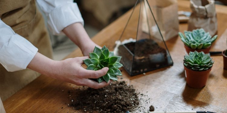 Iată 3 moduri simple în care poți schimba complet decorul casei tale!