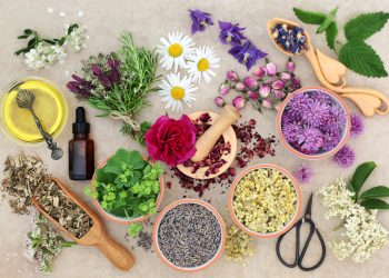 Tipuri de uleiuri esențiale și sfaturi de utilizare