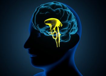 9 anomalii ale glandei hipofize și ce trebuie să știi despre ele