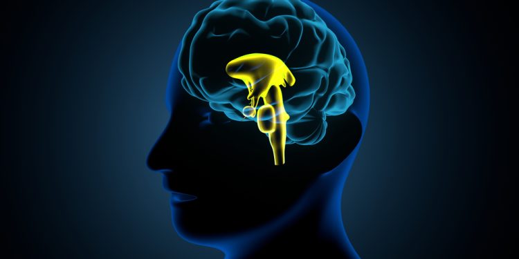 9 anomalii ale glandei hipofize și ce trebuie să știi despre ele